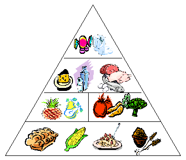 Piramide Nutritiva